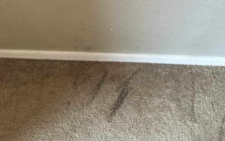 Cleaning Methods for Carpets Without Steam Cleaners?