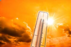 The Global Heatwaves